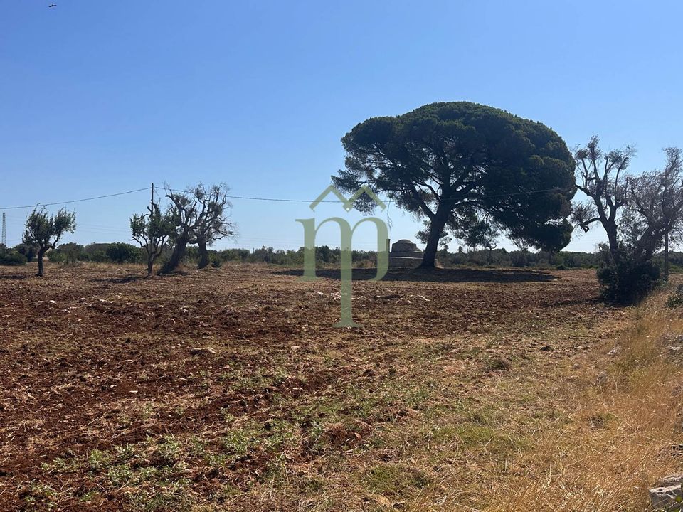 Ruin i Carovigno, Brindisi - bilde 1
